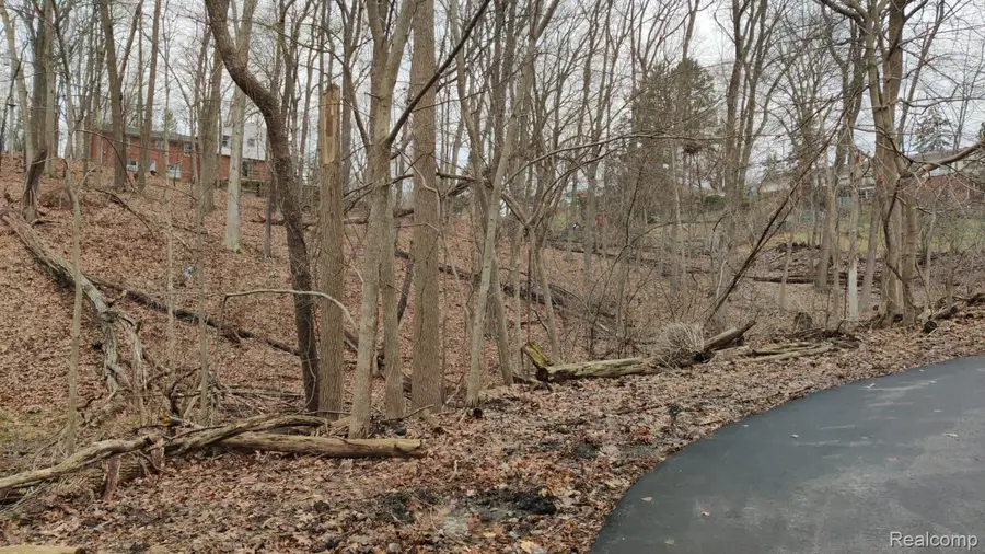 Lot 149 Breer Court, Bloomfield, MI 48302 - #3