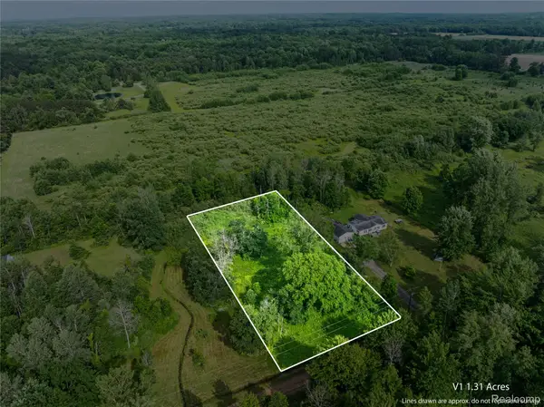 #0078 V/l Natures Nest Road, Vassar, MI 48768
