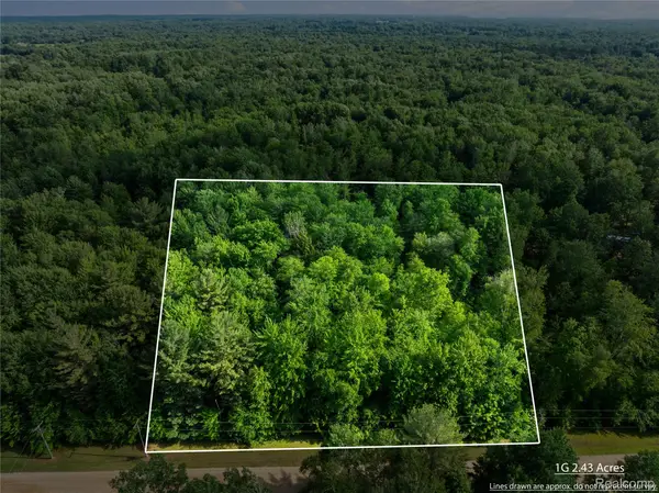 #0015 V/l Birch Lane, Vassar, MI 48768