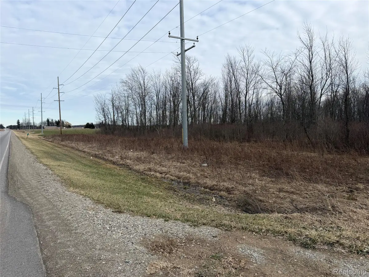 3155 Peck Road, Flynn, MI 48416 - #1
