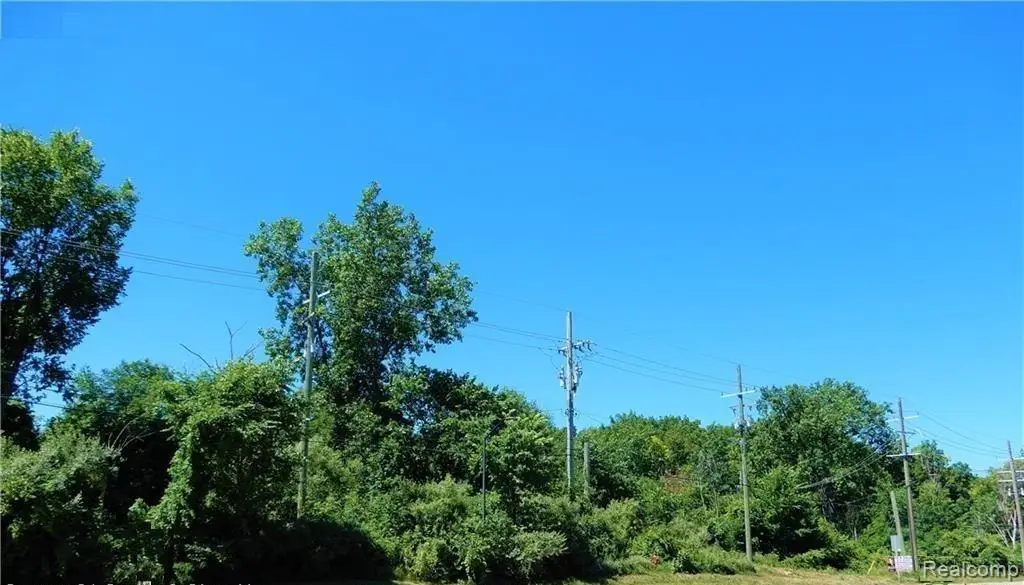 V/L Dixie Highway, Clarkston, MI 48346 - #1