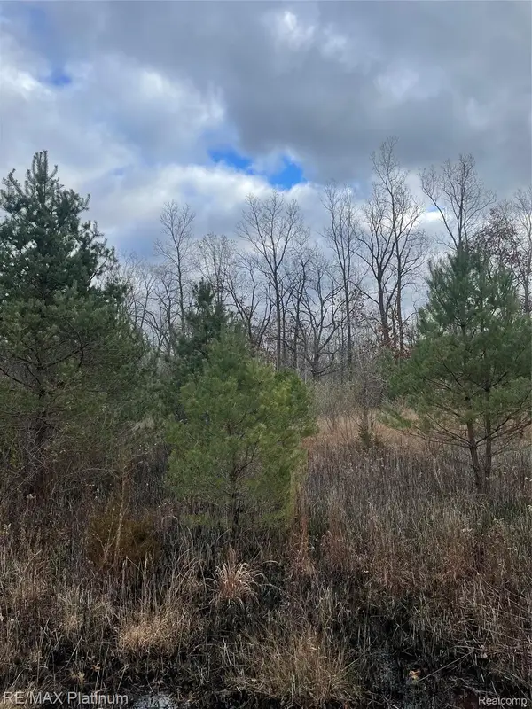 0 Seymour Road, Linden, MI 48451