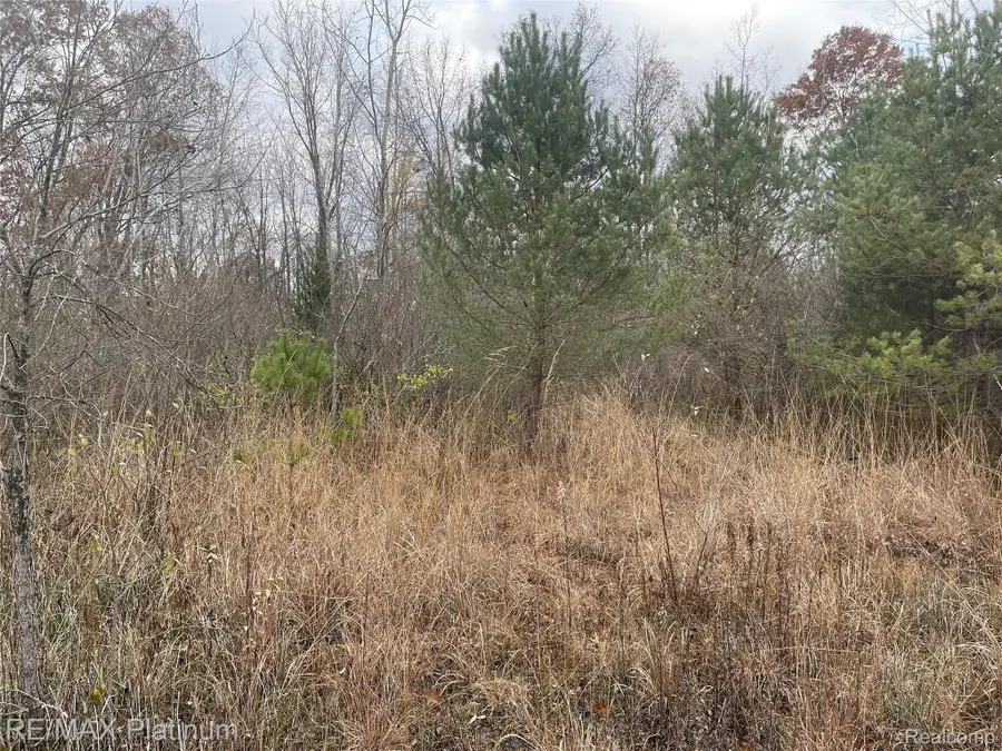 0 Seymour Road, Linden, MI 48451 - #2