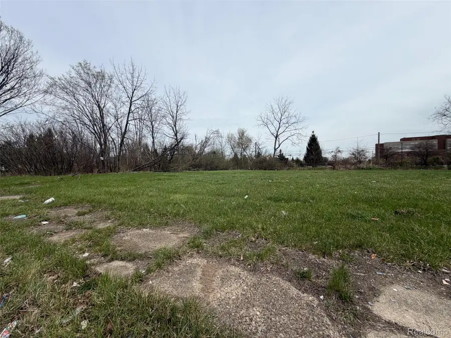 698 Field Street, Detroit, MI 48214 - #3