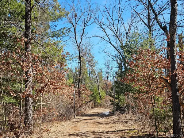 3770 Bovee Lake Road, Prescott, MI 48756