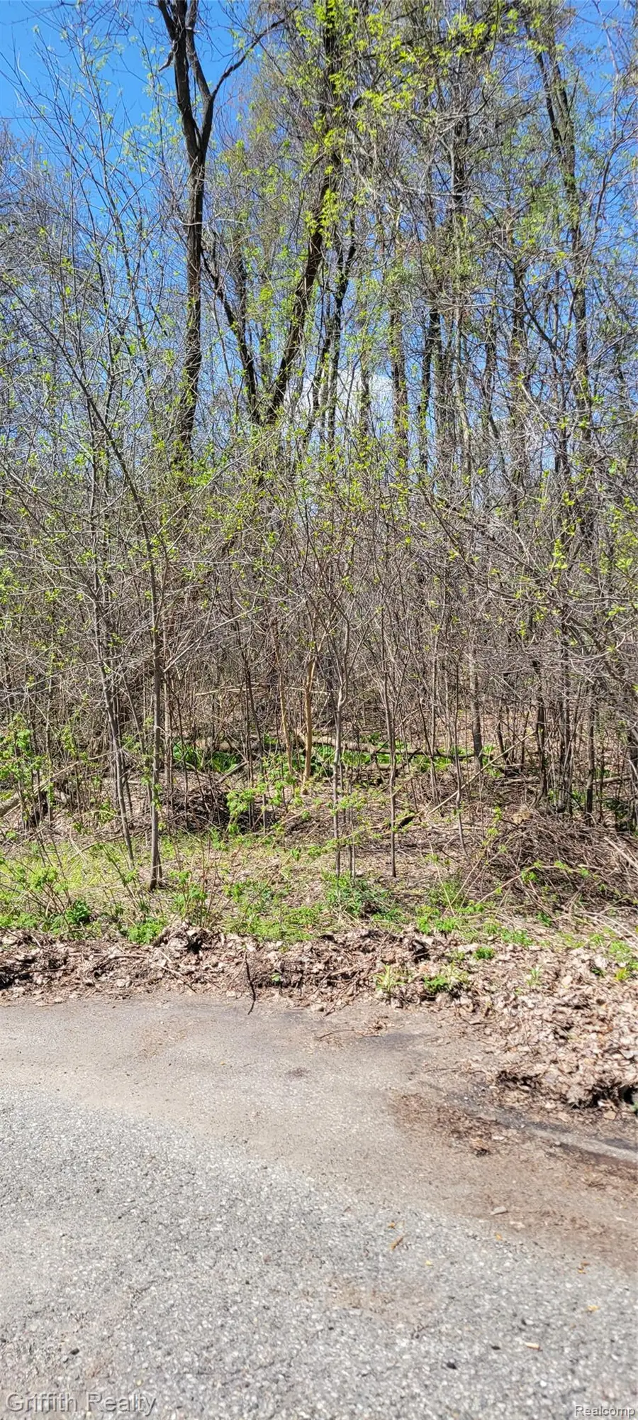 00 VL Pady, Brighton, MI 48114 - #2