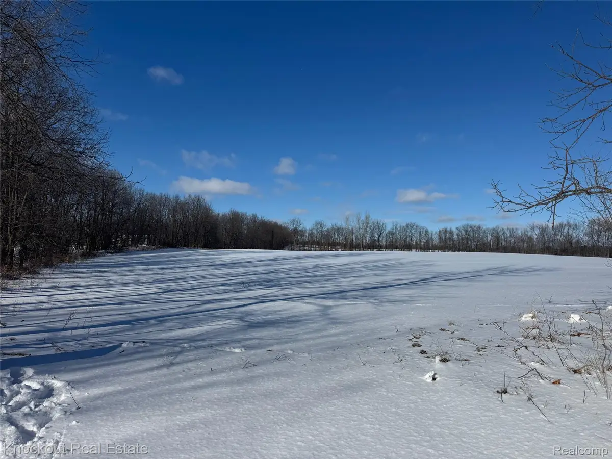 Parcel C Murphy Lake Road, Mayville, MI 48744 - #1