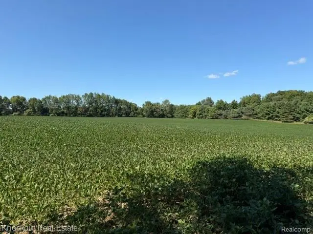 Parcel C Murphy Lake Road, Mayville, MI 48744 - #1
