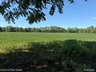 Parcel C Murphy Lake Road, Mayville, MI 48744 - #2