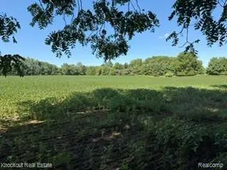 Parcel C Murphy Lake Road, Mayville, MI 48744 - #3