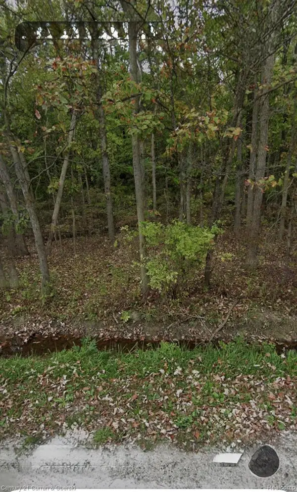 24661 28 Mile Road, Ray, MI 48096