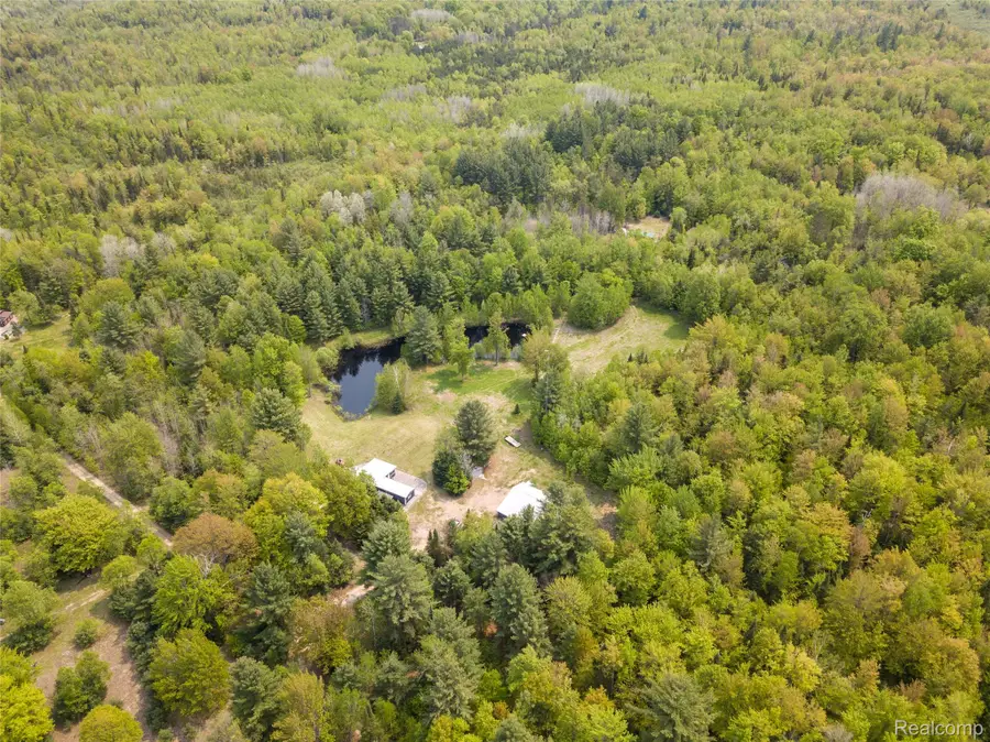 5960 N Trail Se, Kalkaska, MI 49646 - #3
