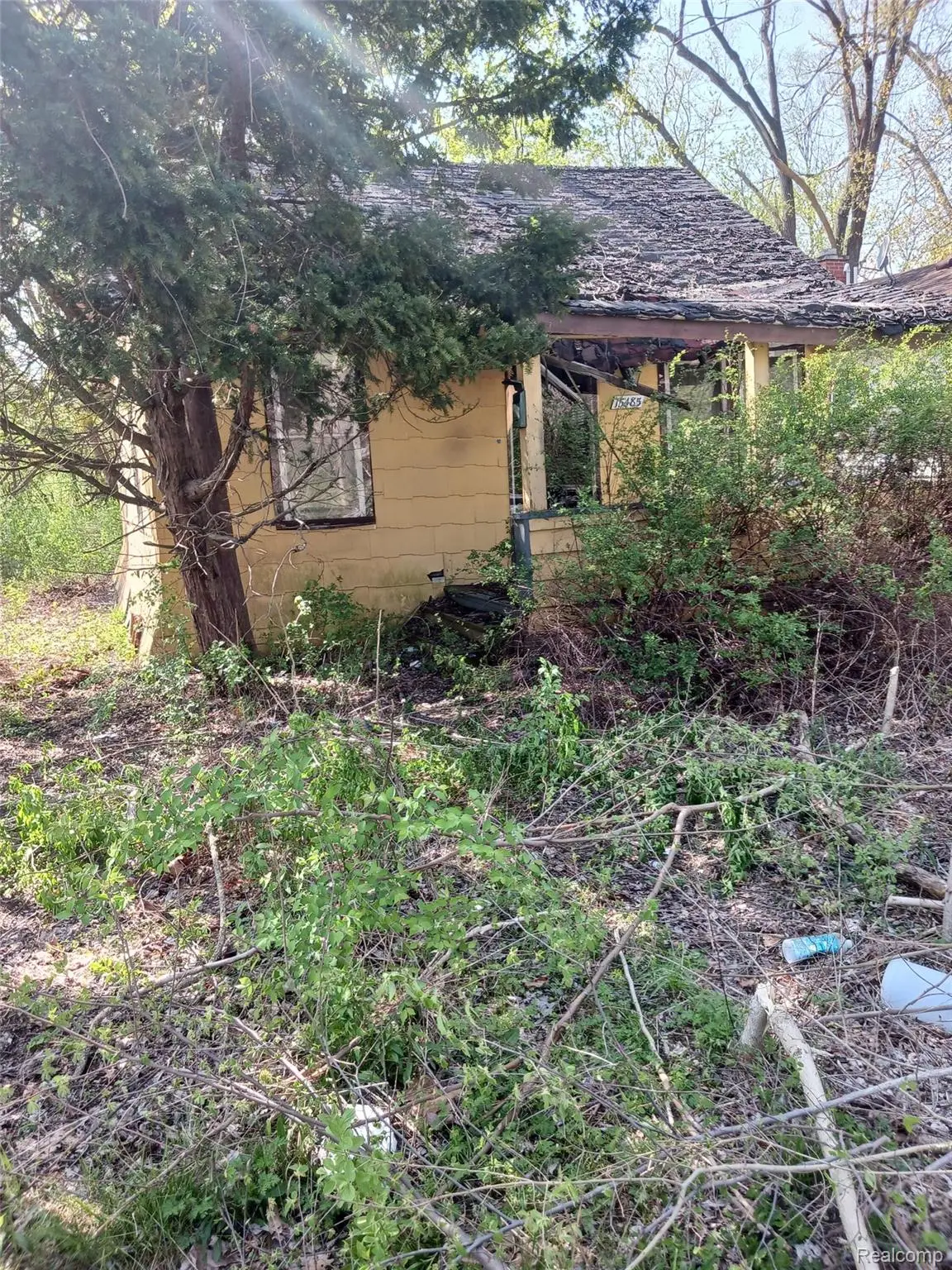 15485 Grayfield Street, Detroit, MI 48223 - #1