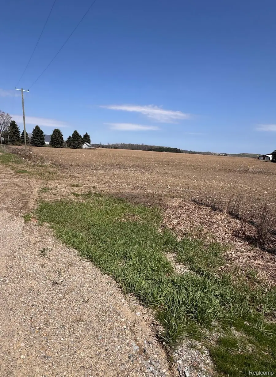 0000 Fitch And Sanilac Road Ne, Carsonville, MI 48419 - #2