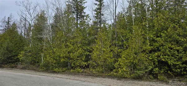 VL Lot 332 Balsam Drive, PresqueIsle, MI 49777
