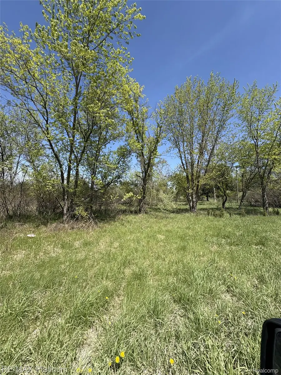 Parcel 6 Fisher Road, Howell, MI 48855 - #3