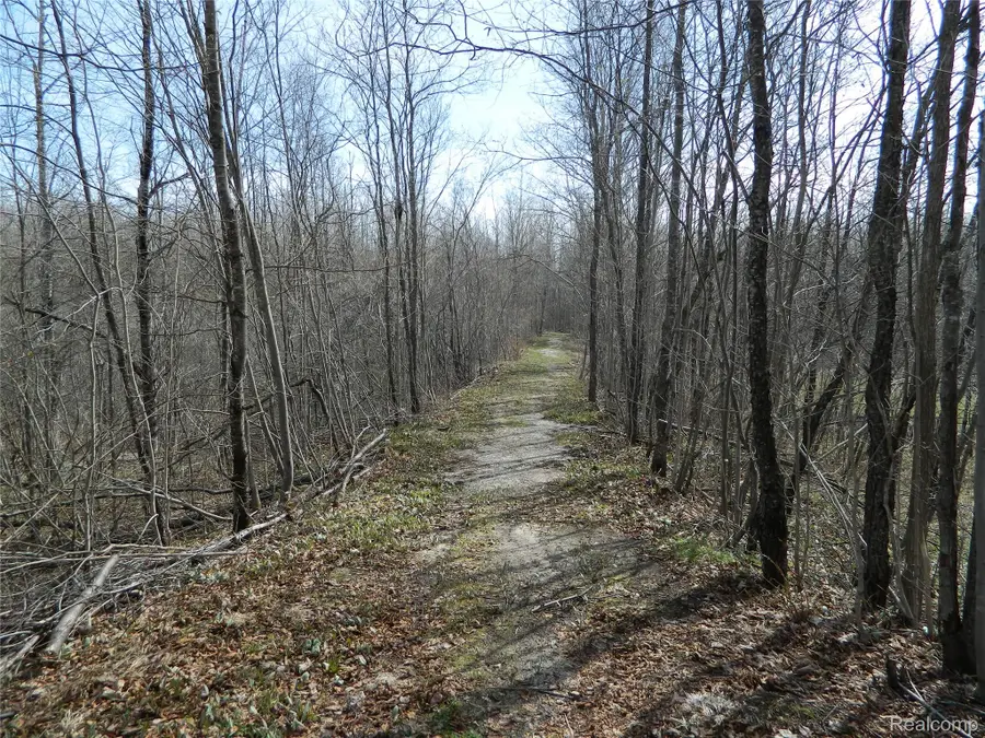 0000 Northland Drive, Maple Forest, MI 49733 - #2