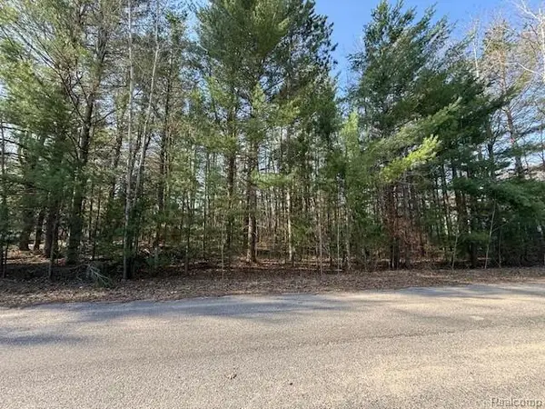 0 Ponderosa Drive, Cadillac, MI 49601