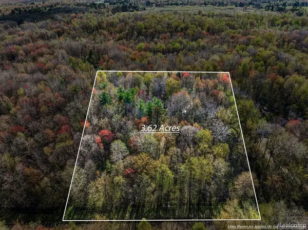 6799 Maplegrove Road, Vassar, MI 48768