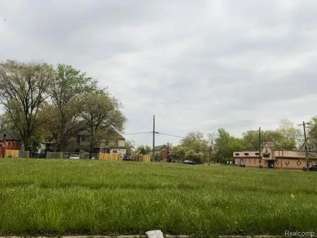 1520 Casgrain Street, Detroit, MI 48209 - #3