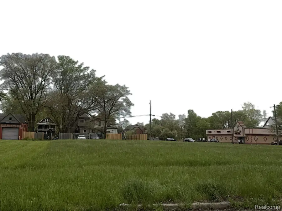 1526 Casgrain Street, Detroit, MI 48209 - #3