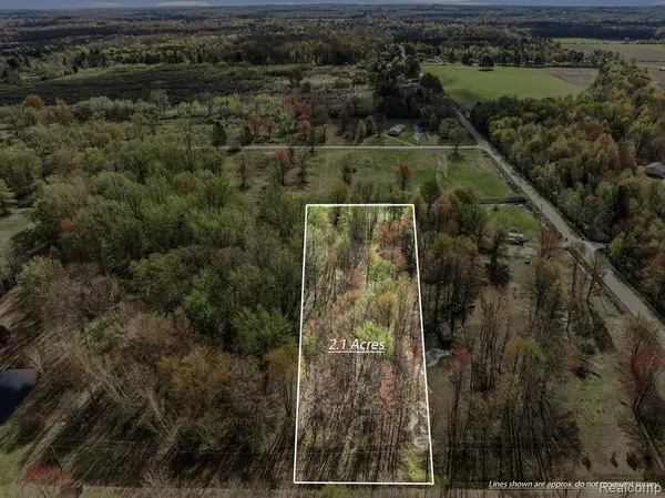 #0102 V/L Natures Trail Road, Vassar, MI 48768