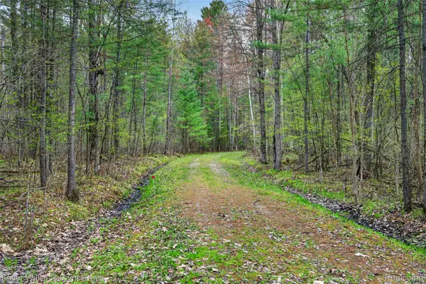v/l E Pinecrest Drive, Gladwin, MI 48624