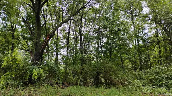000 Middle Parcel D Middle Road, Highland, MI 48357