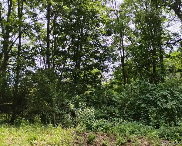 000 Middle V/L 18.12 Acre Middle, Highland, MI 48357