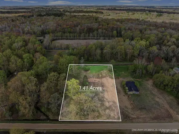 #0099 V/L Natures Nest Road, Vassar, MI 48768