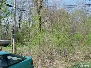 1 Ideal Pl, WhitmoreLake, MI 48189