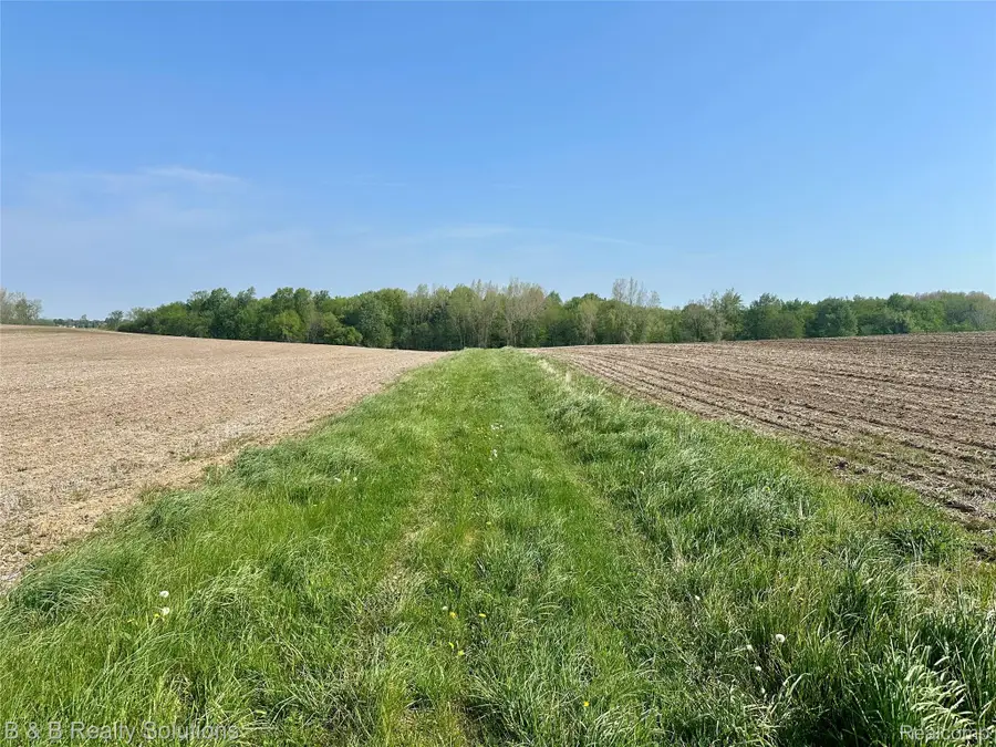 000 Mayville, Mayville, MI 48744 - #2