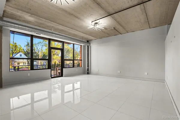 315 2nd Street #301, AnnArbor, MI 48103