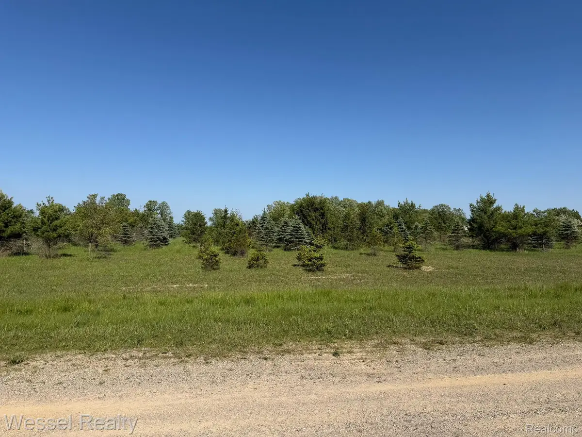 0 Windmill Lane, Imlay City, MI 48444 - #1