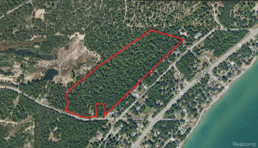 000 Scott Road, Baldwin, MI 48730 - #2