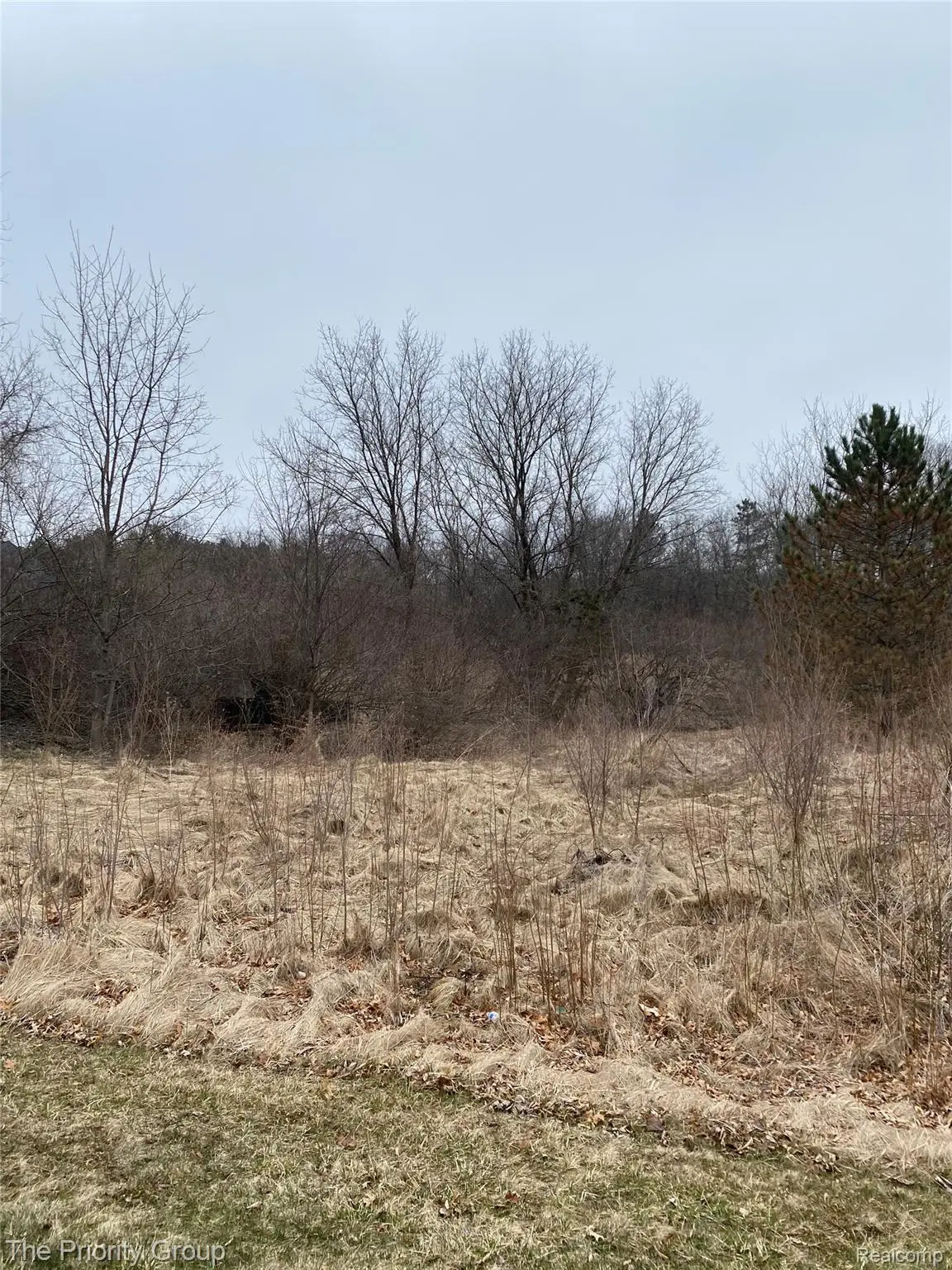 160 Great Pines Drive, Oxford, MI 48371 - #1