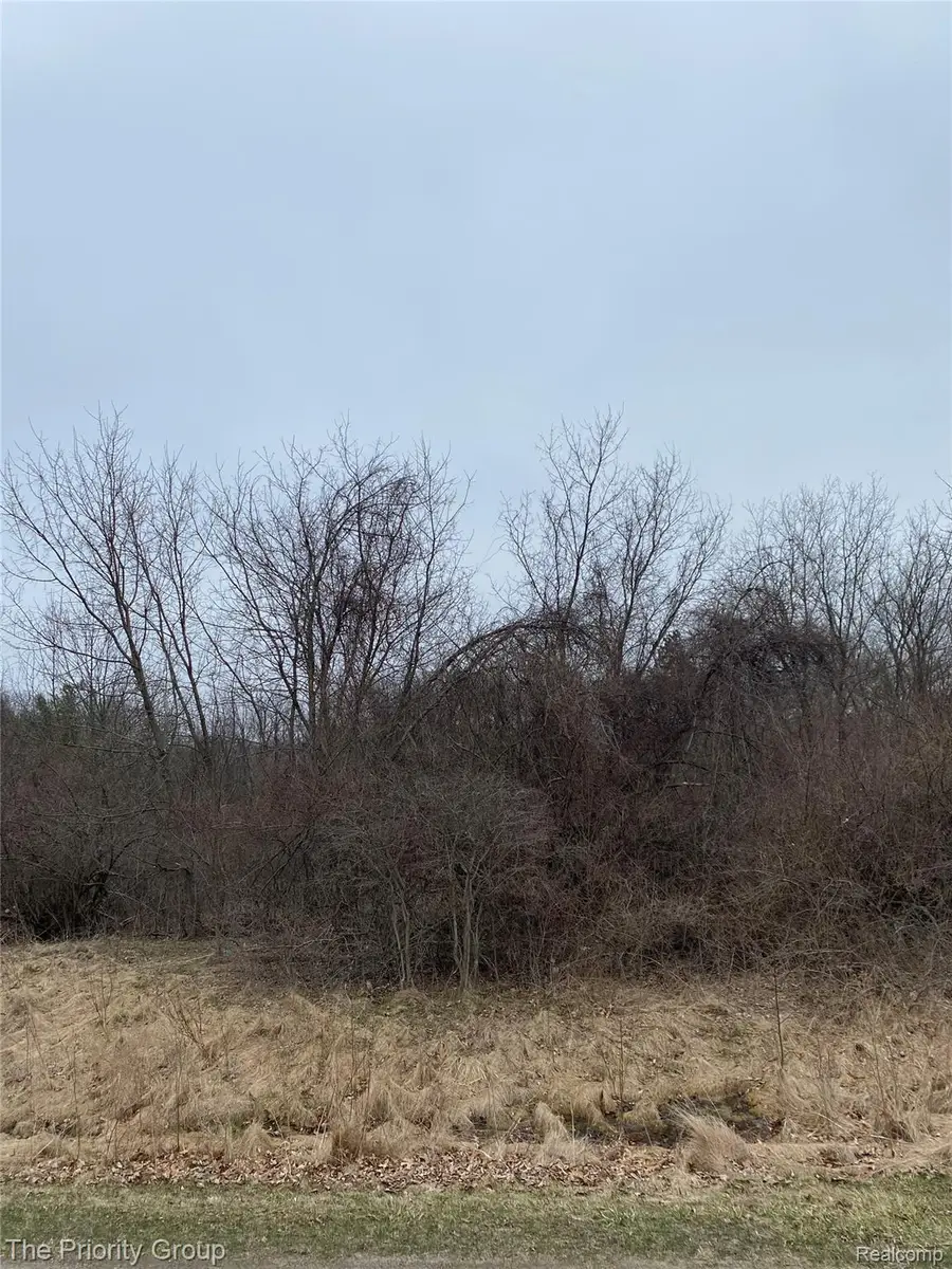 160 Great Pines Drive, Oxford, MI 48371 - #2