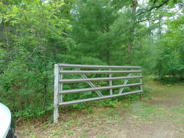 5055 Adams Road, Gladwin, MI 48624