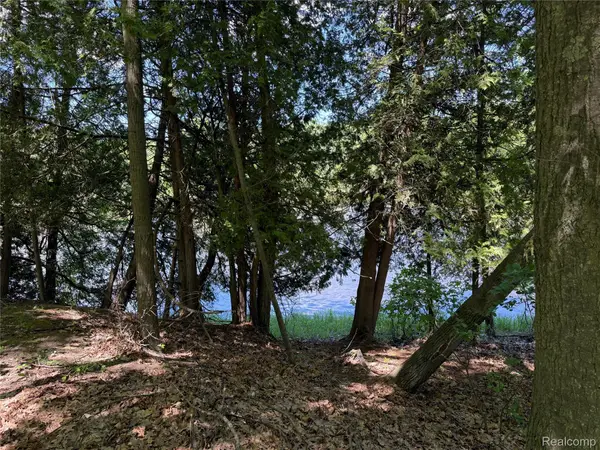 19672 Indian Drive Drive, Paris, MI 49338