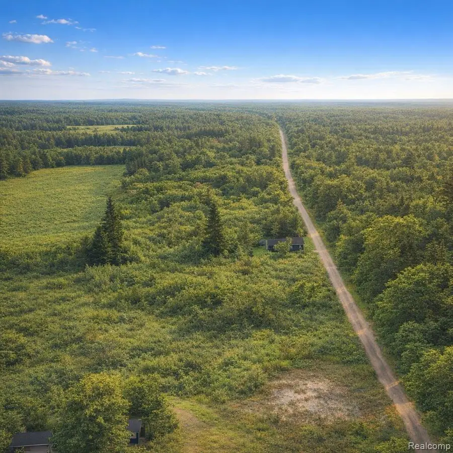 0 Gray Road, Lapeer, MI 48446 - #3