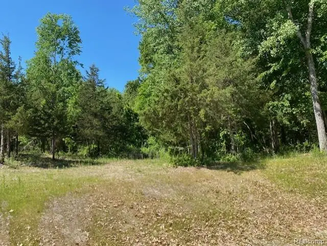 Lot 5 Dollar Ridge Lane, Centerville, MI 48178 - #2