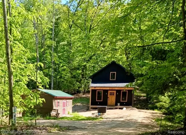 229 Forest Trail, Leroy, MI 49655