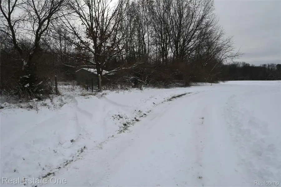 0000 Roberts Drive, Munith, MI 49259 - #2