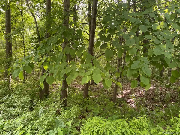 08 Tipsico Lake, Highland, MI 48357