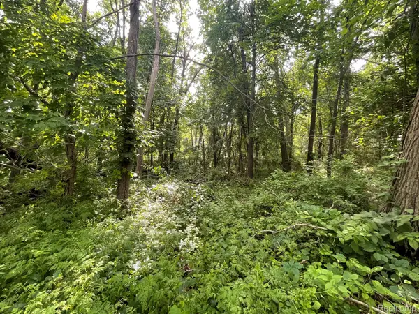 09 Tipsico Lake Road, Highland, MI 48357