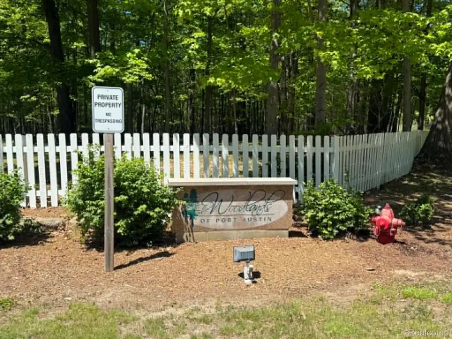 Lots 2 & 3 Towering Oaks, Port Austin, MI 48467 - #2