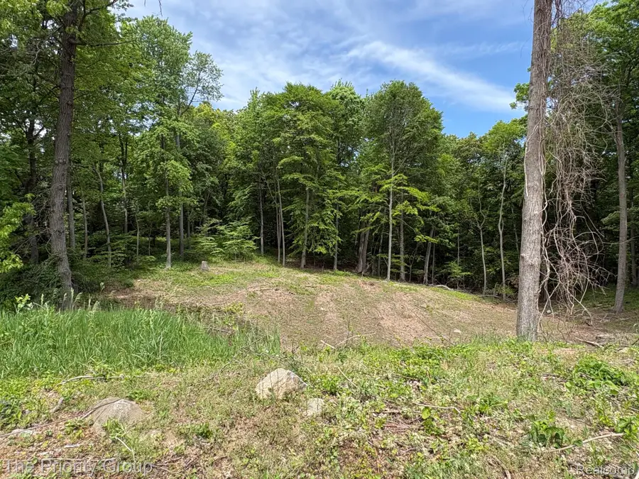 6248 E Crest Forest Court, Clarkston, MI 48348 - #2