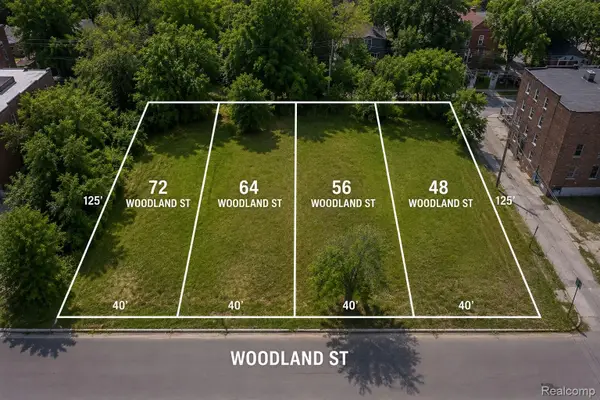 48 Woodland St, Detroit, MI 48202