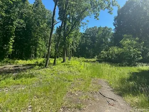 44735 Dunn Road, Belleville, MI 48111 - #1
