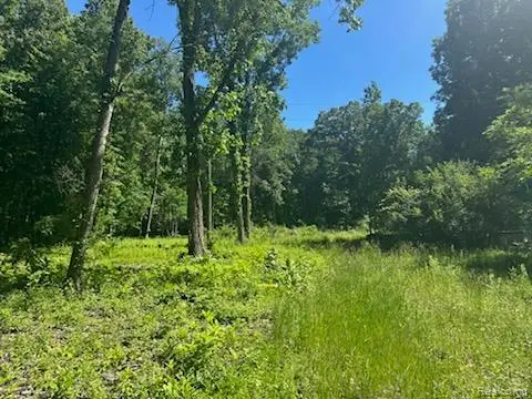 44735 Dunn Road, Belleville, MI 48111 - #2